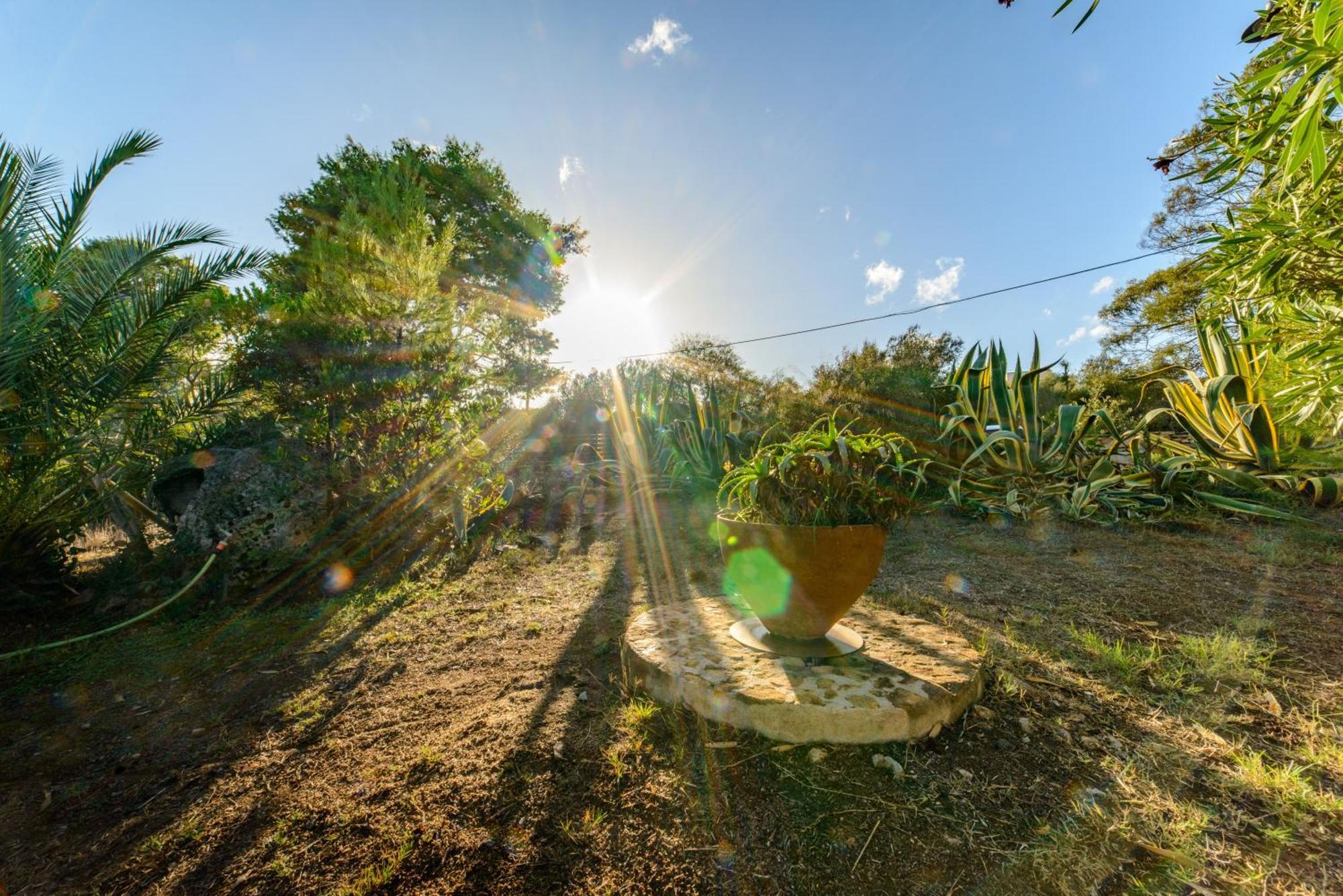 Maravilla Casa Vacanze Olbia Exteriör bild